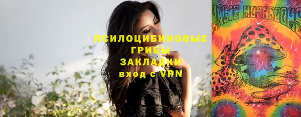 дурь Абаза