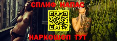 дмт Пенза