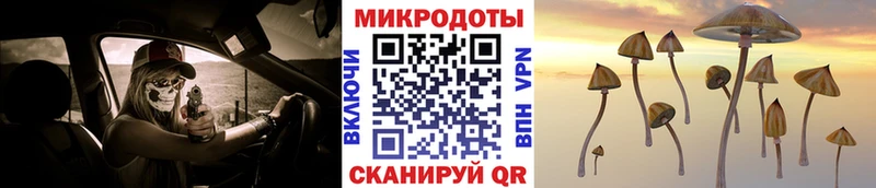 hydra ONION  хочу   Тюмень  Псилоцибиновые грибы прущие грибы 
